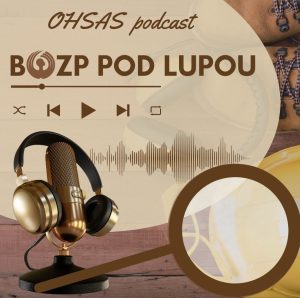 BOZP pod lupou